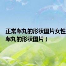 正常睾丸的形状图片女性(正常睾丸的形状图片)