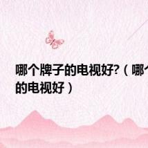 哪个牌子的电视好?(哪个牌子的电视好)