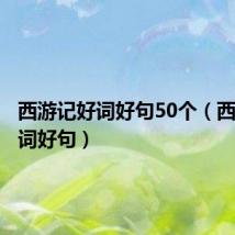 西游记好词好句50个(西游记好词好句)