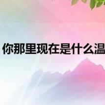 你那里现在是什么温度？