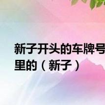 新子开头的车牌号是哪里的(新子)