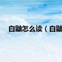 白鼬怎么读(白鼬)