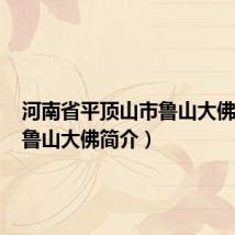 河南省平顶山市鲁山大佛简介(鲁山大佛简介)