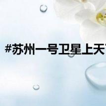 #苏州一号卫星上天了#