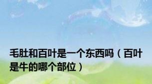 毛肚和百叶是一个东西吗（百叶是牛的哪个部位）