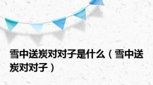 雪中送炭对对子是什么（雪中送炭对对子）