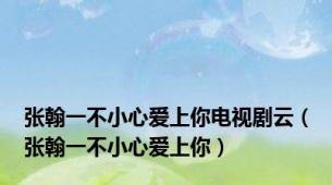 张翰一不小心爱上你电视剧云（张翰一不小心爱上你）