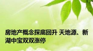 房地产概念探底回升 天地源、新湖中宝双双涨停
