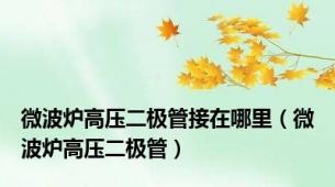微波炉高压二极管接在哪里（微波炉高压二极管）