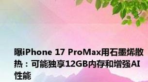 曝iPhone 17 ProMax用石墨烯散热：可能独享12GB内存和增强AI性能