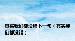 其实我们都没错下一句（其实我们都没错）