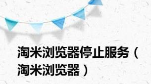 淘米浏览器停止服务（淘米浏览器）
