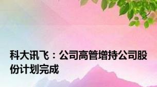 科大讯飞：公司高管增持公司股份计划完成