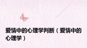 爱情中的心理学判断（爱情中的心理学）