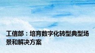 工信部：培育数字化转型典型场景和解决方案
