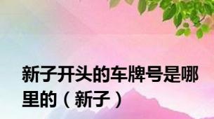 新子开头的车牌号是哪里的（新子）