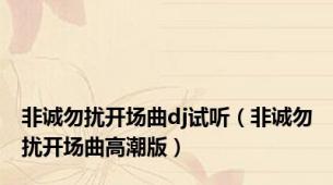 非诚勿扰开场曲dj试听（非诚勿扰开场曲高潮版）
