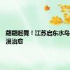 翩翩起舞！江苏启东水鸟逐浪浪漫治愈