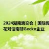 2024湖南跨交会｜国际传播四小花对话南非Gecko企业