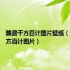 魏晨千方百计图片壁纸（魏晨千方百计图片）