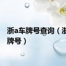 浙a车牌号查询（浙江车牌号）