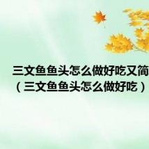 三文鱼鱼头怎么做好吃又简单视频(三文鱼鱼头怎么做好吃)