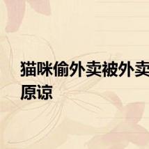 猫咪偷外卖被外卖小哥原谅