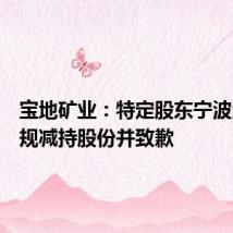 宝地矿业:特定股东宁波涌峰违规减持股份并致歉