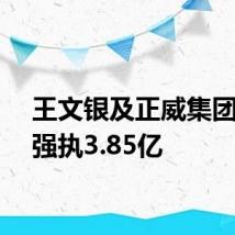王文银及正威集团等被强执3.85亿