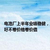 电池厂上半年业绩稳健,业内呼吁不卷价格卷价值