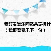 我醉君复乐陶然共忘机什么意思(我醉君复乐下一句)