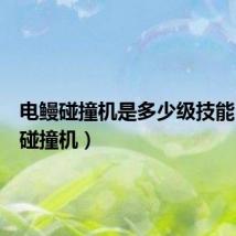 电鳗碰撞机是多少级技能(电鳗碰撞机)