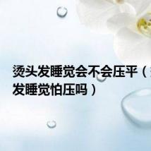 烫头发睡觉会不会压平(烫的头发睡觉怕压吗)
