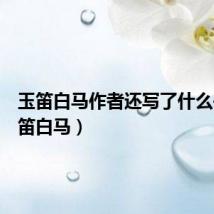 玉笛白马作者还写了什么书（玉笛白马）