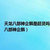 天龙八部神企鹅是超灵吗(天龙八部神企鹅)