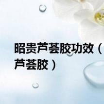 昭贵芦荟胶功效(昭贵芦荟胶)