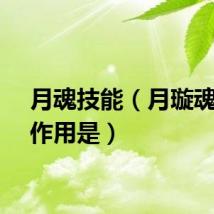 月魂技能(月璇魂珠的作用是)