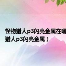 怪物猎人p3闪亮金属在哪（怪物猎人p3闪亮金属）