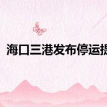 海口三港发布停运提示