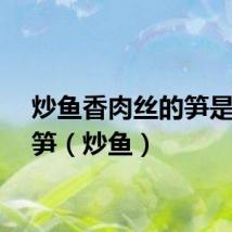 炒鱼香肉丝的笋是什么笋(炒鱼)