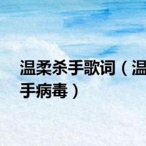 温柔杀手歌词（温柔杀手病毒）
