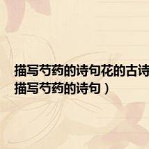 描写芍药的诗句花的古诗大全(描写芍药的诗句)