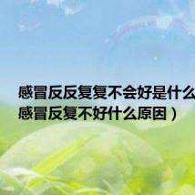 感冒反反复复不会好是什么原因(感冒反复不好什么原因)