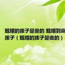 甄嬛的孩子是谁的 甄嬛到底有几个孩子(甄嬛的孩子是谁的)