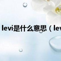 levi是什么意思（levis）