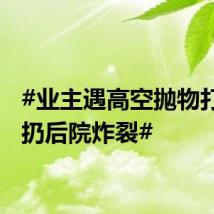 #业主遇高空抛物打火机扔后院炸裂#