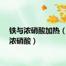 铁与浓硝酸加热（铁与浓硝酸）