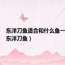 东洋刀鱼适合和什么鱼一起养（东洋刀鱼）