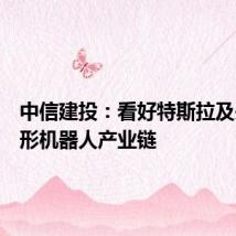 中信建投:看好特斯拉及头部人形机器人产业链