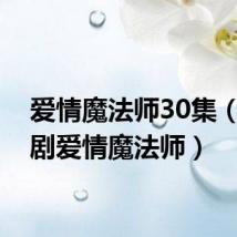 爱情魔法师30集(电视剧爱情魔法师)